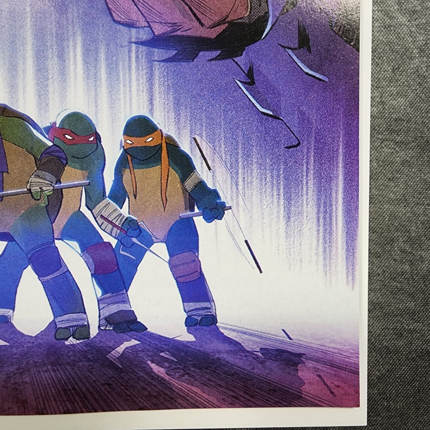 Teenage Mutant Ninja Turtles #132 TMNT Retailer Incentive Rafael Leite VF/NM IDW