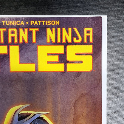 Teenage Mutant Ninja Turtles #132 TMNT Retailer Incentive Rafael Leite VF/NM IDW